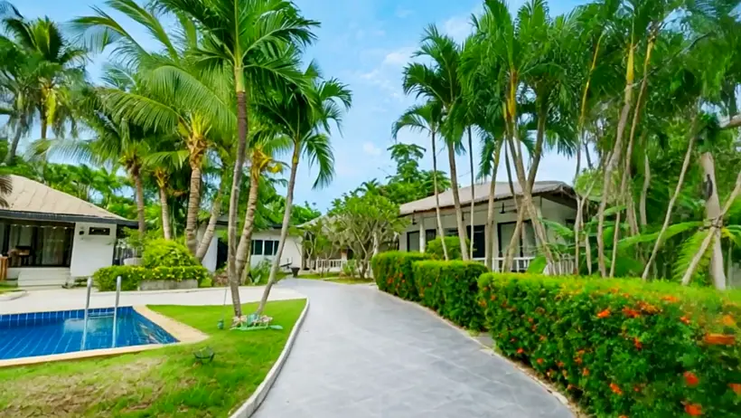 The drive into the compound, lined with palms