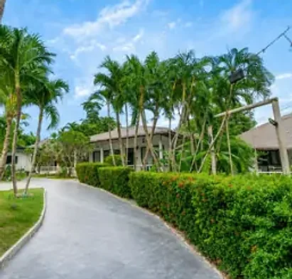 The drive curving between hedges and tall palms