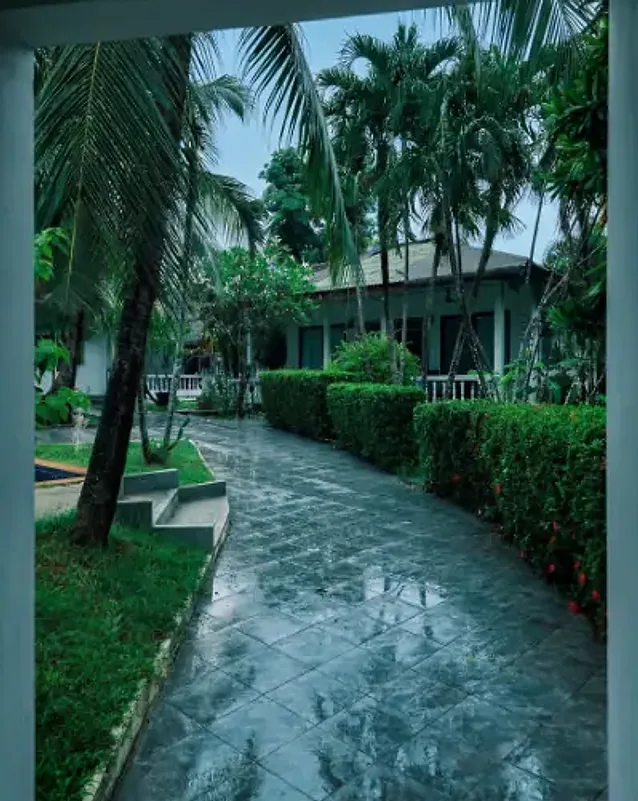 The tiled garden path shining after rain