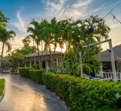 The garden path at sunset, palms against a pink sky