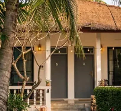 The front door of a cottage under a thatched porch